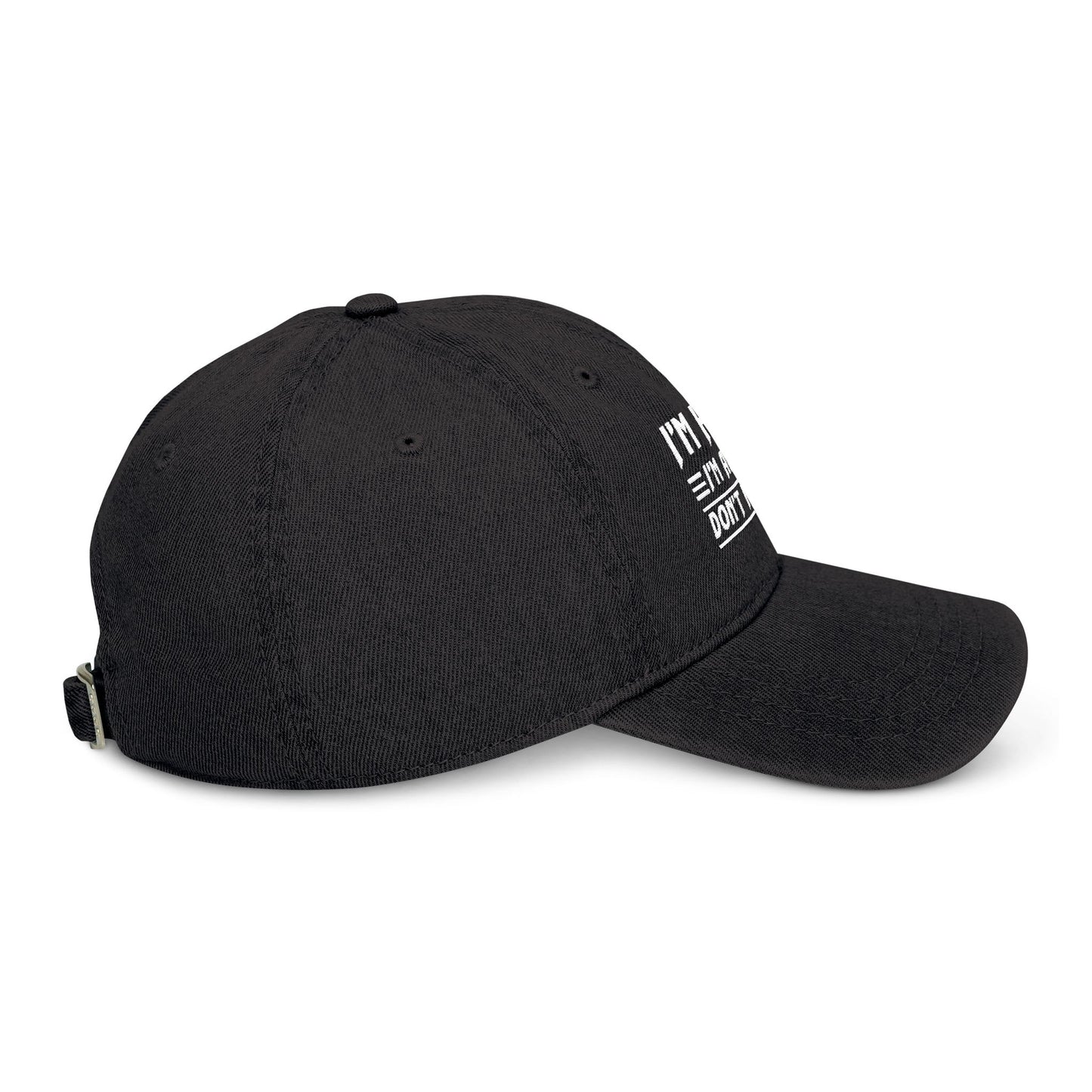 Embroidered Denim Hat, Funny Cap, Gift for Him, Casual Style, Everyday Wear, Unique Headwear