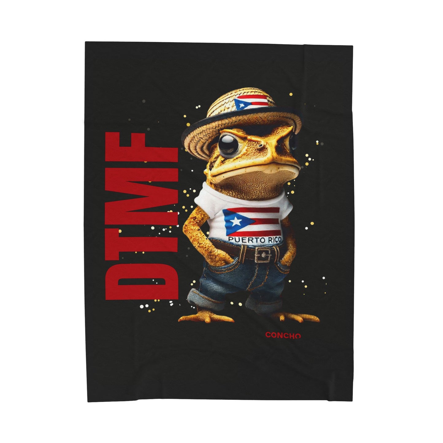 Puerto Rican Heritage Blanket with Unique Designs Velveteen Plush Blanket