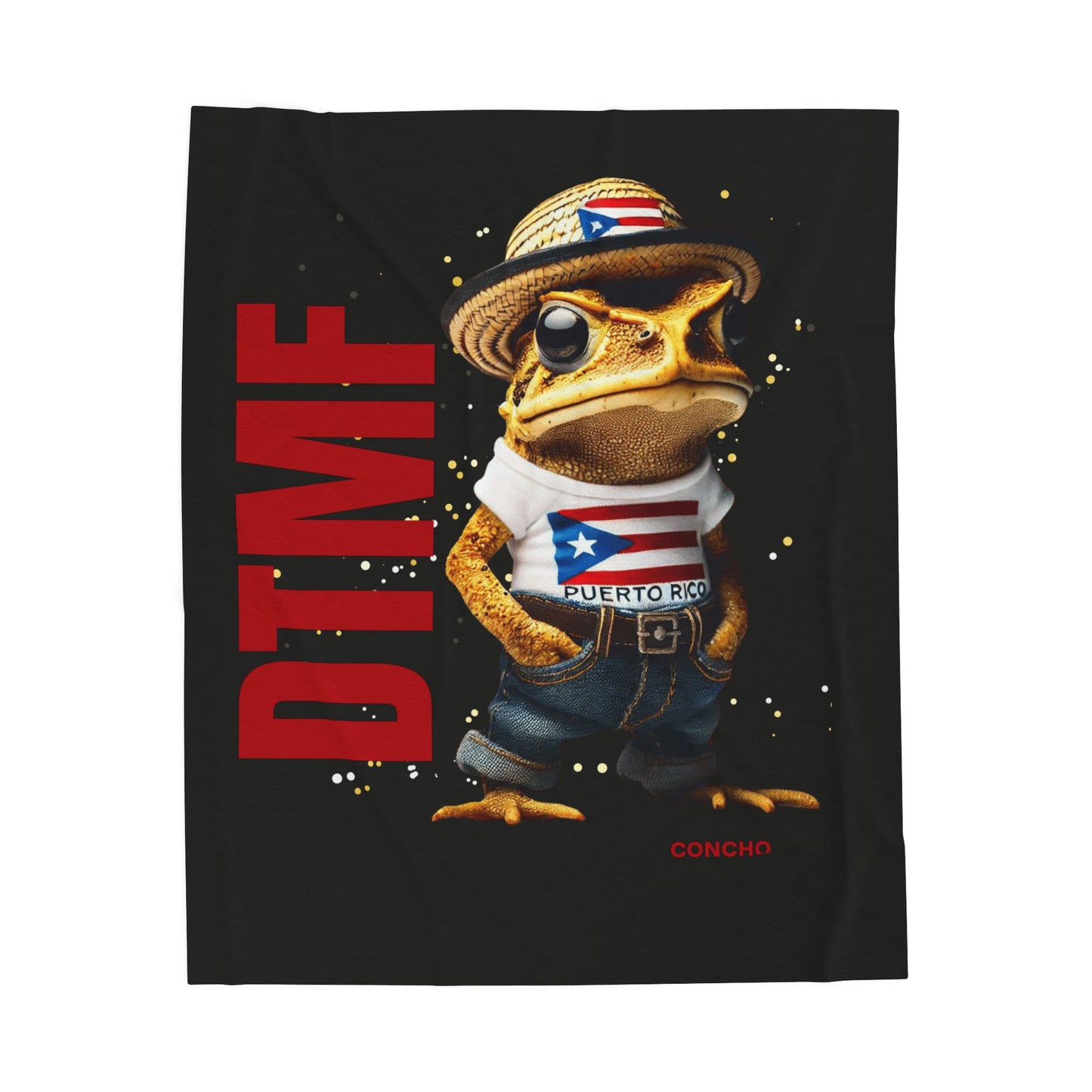 Puerto Rican Heritage Blanket with Unique Designs Velveteen Plush Blanket