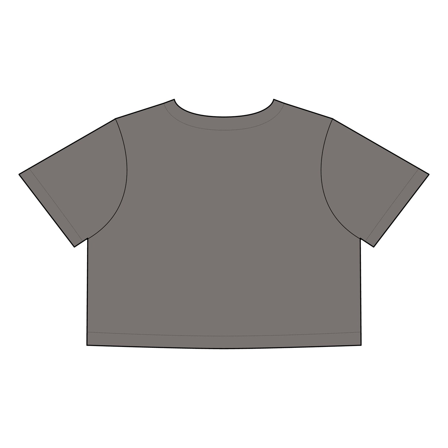 Salsa Brava PR Pride Crop Tee, Women's Faded Crop Top, Casual Summer Tee, Festival Wear, Gift for Texas Lovers