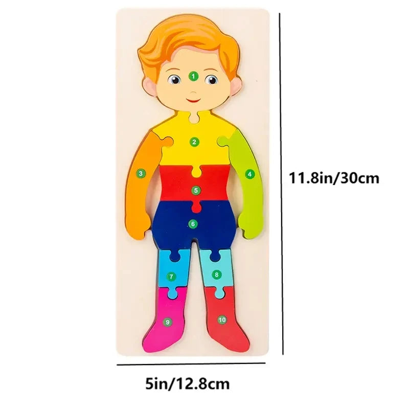 Wooden Puzzles for Kids, Number Puzzle, Dinosaur Puzzles and Animal ,Traffic,Characte Jigsaw Toys for Boy Girl Ideal Gift, 1-6