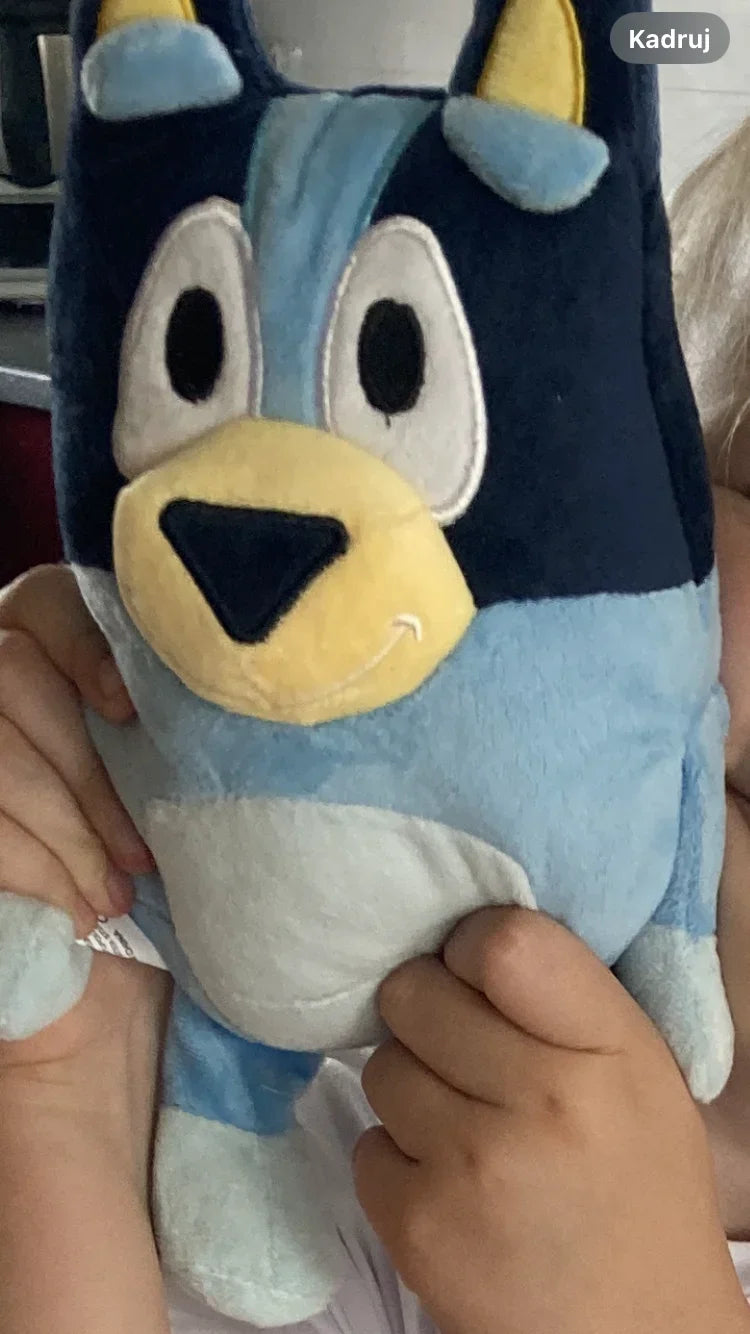 28cm Kawaii Anime Bluey Family Bingo Dog Music Figure Plush Toys Stuffed Animals Toy For Children Holiday Gifts