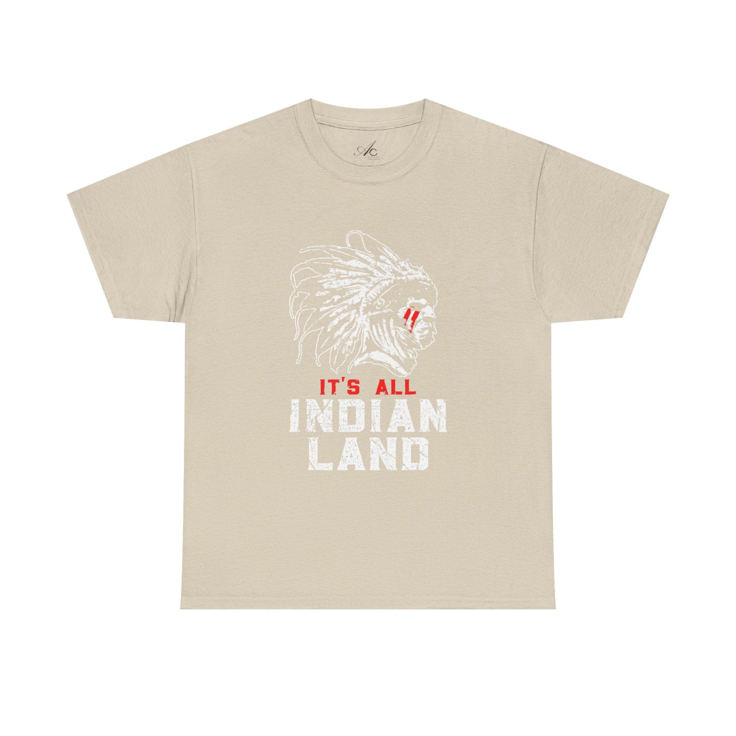 Say It Without Saying It Indigenous Pride Tee, Unisex Heavy Cotton Top, Statement Shirt, Native American Heritage, Gift for Activists, Cultural Appreciation Shirt - Metamorphosis Creations
