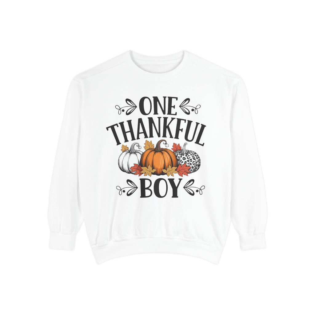 Thankful Boy Sweatshirt  Fall Pumpkin Thanksgiving Crewneck Fall T-Shirts and Sweatshirts Collection