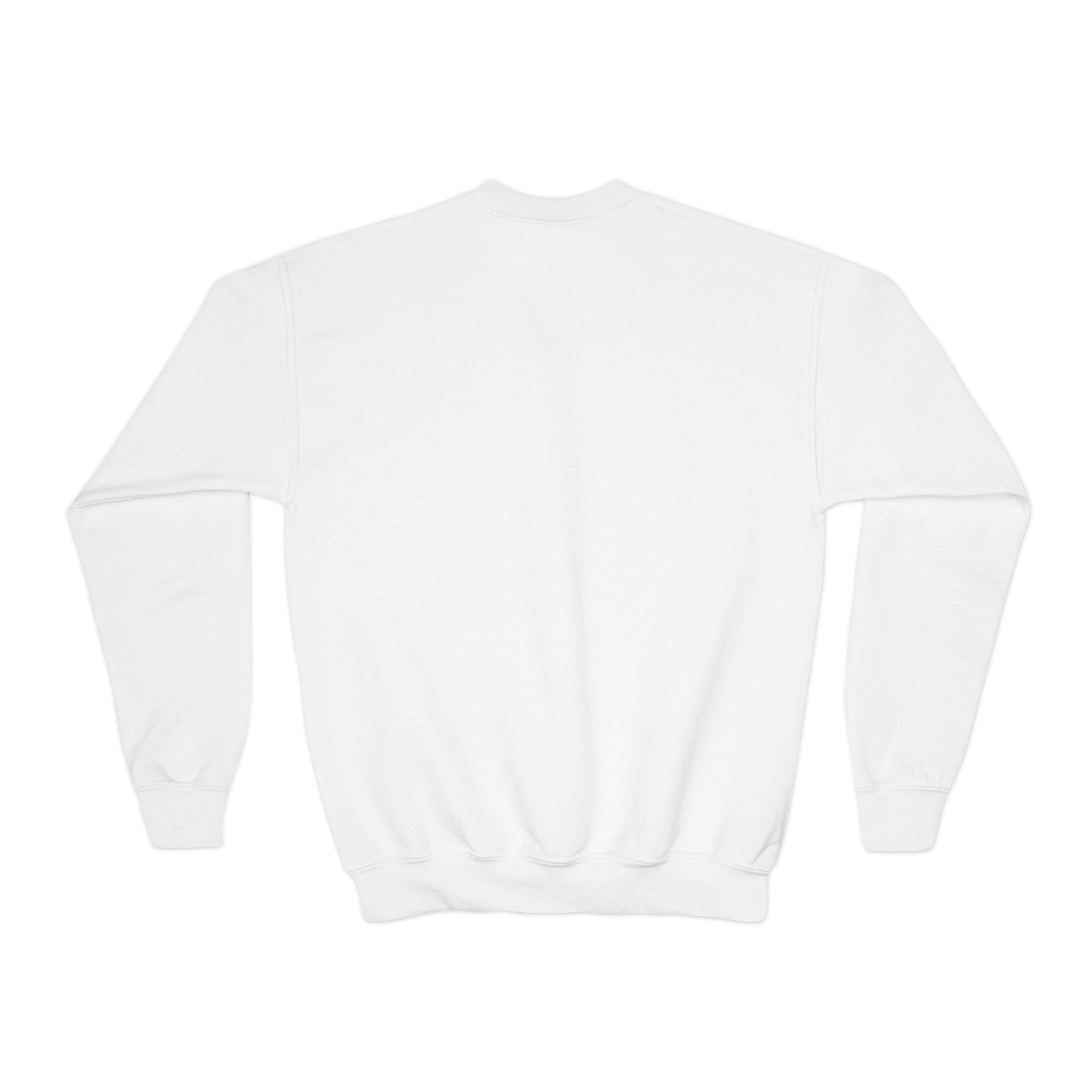 Youth Sweatshirt  'Believe' Cozy Sloth Holiday Crewneck