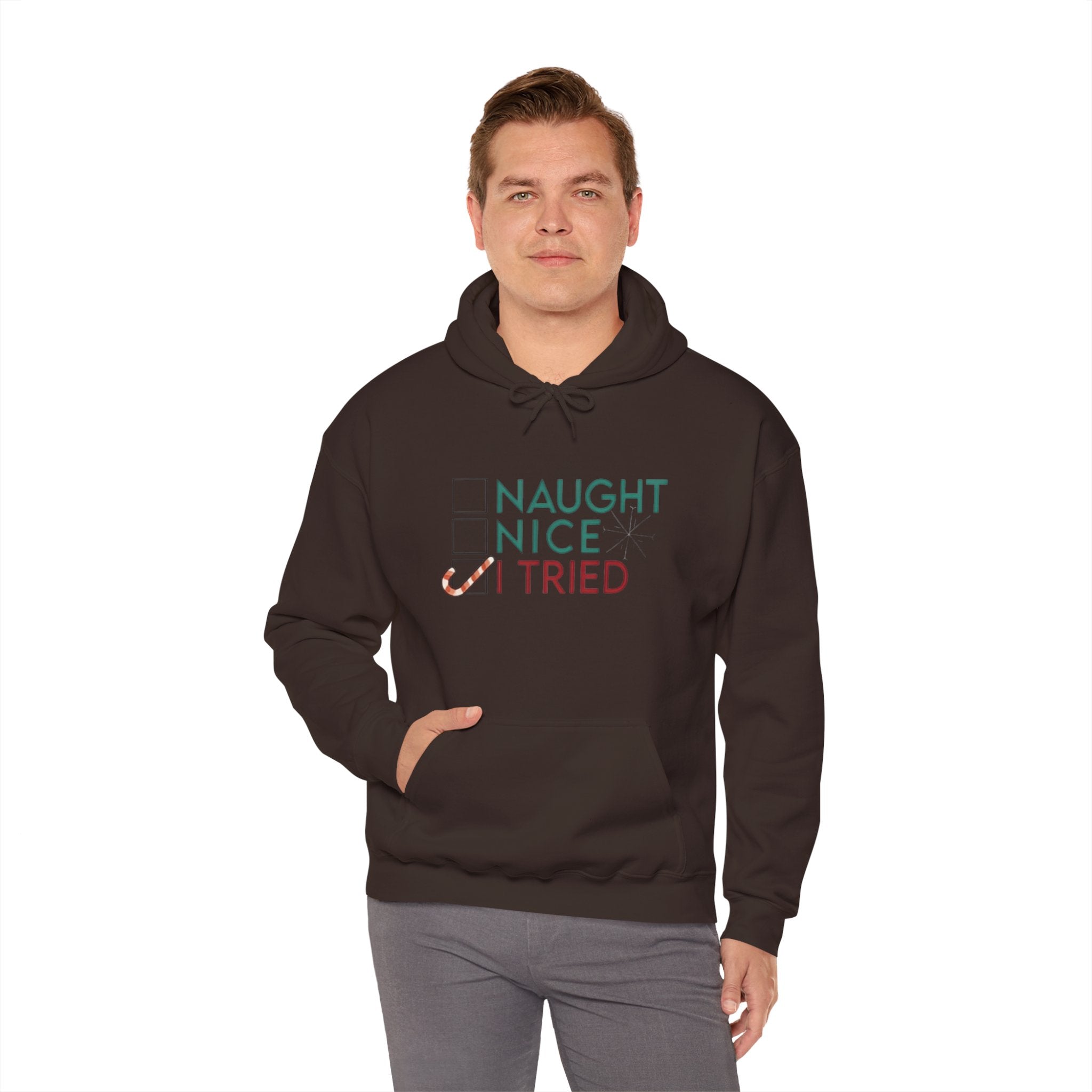 Holiday Hoodie — "Naughty, Nice, I Tried" Funny Christmas Sweatshirt