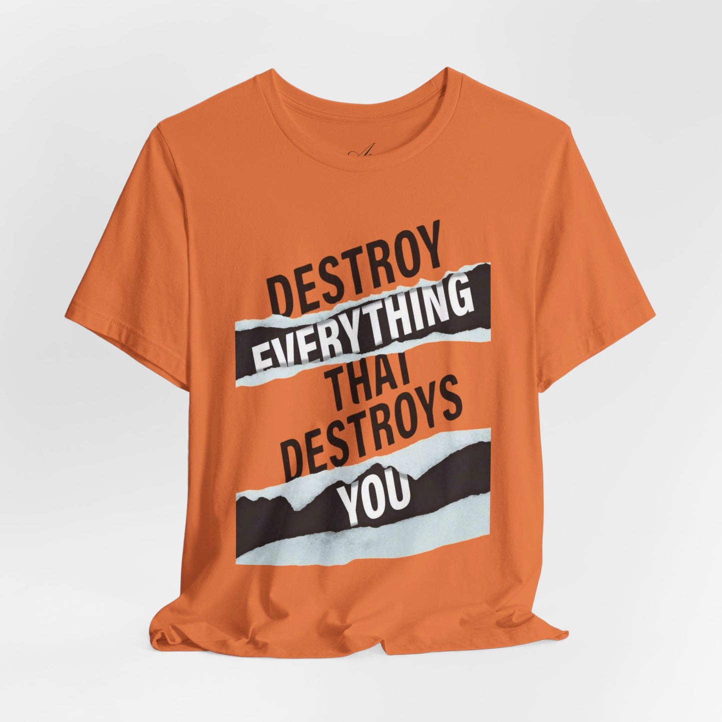 Destroy Everything That Destroys You T-Shirt  Bold Typographic Graphic Tee