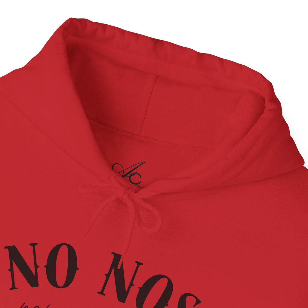 Puerto Rican Pride Hoodie  “No Nos representan” Front & Puñeta Flag Back