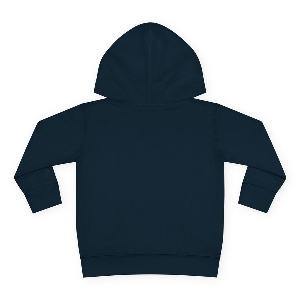 Toddler Hoodie  Cozy Plaid Santa Gnome Pullover