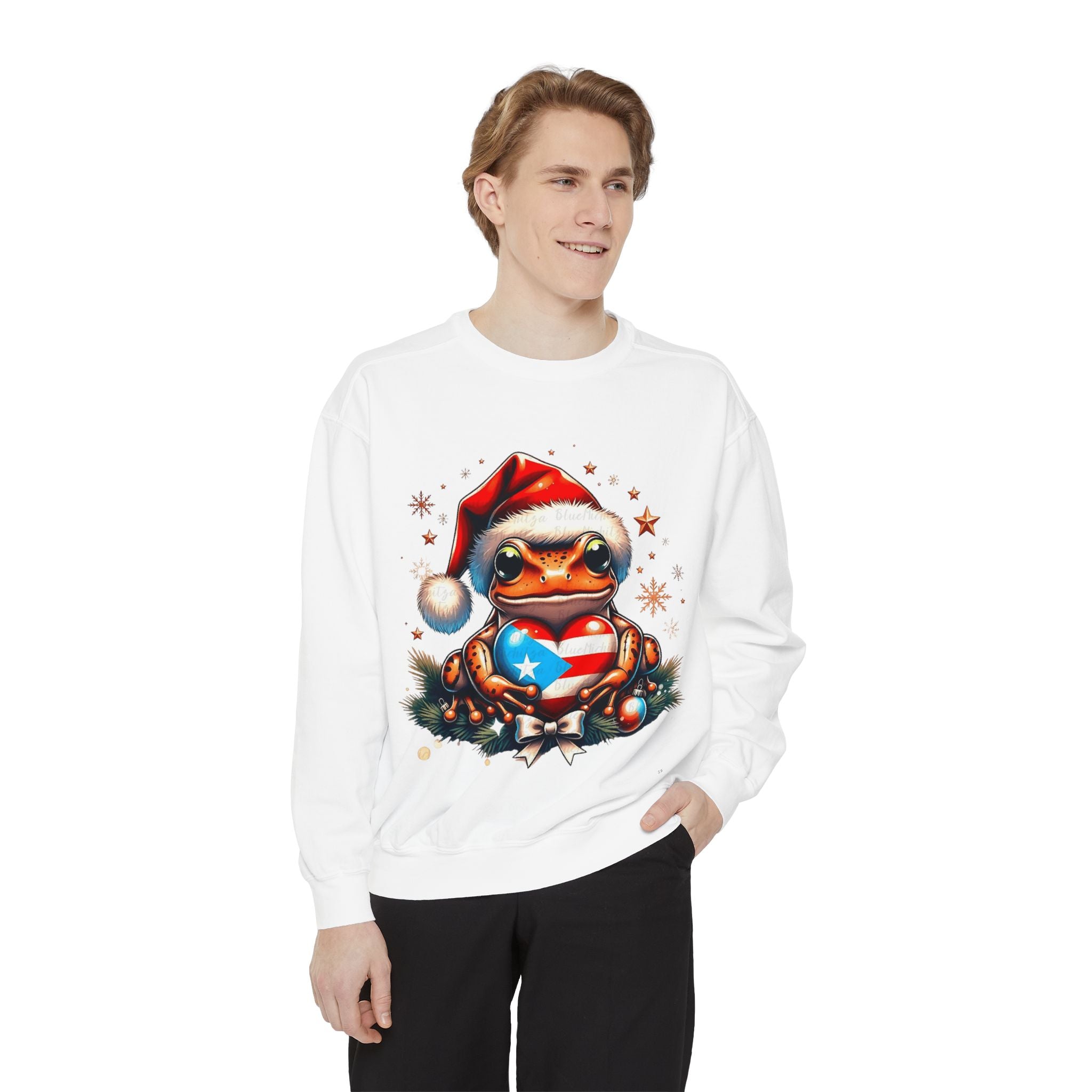 Christmas Coqui Sweatshirt — Cute Santa Frog Holding Ornament Holiday Sweater