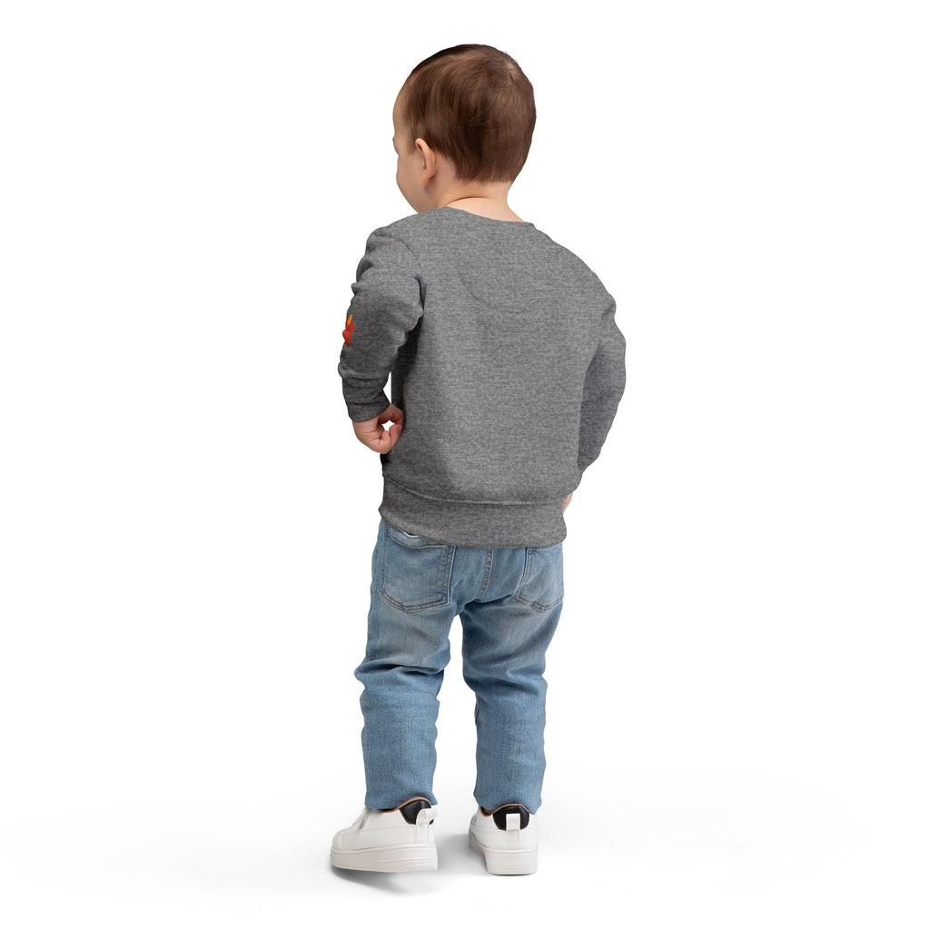 Toddler Sweatshirt  "Thankful" Pumpkin Fall Pullover
