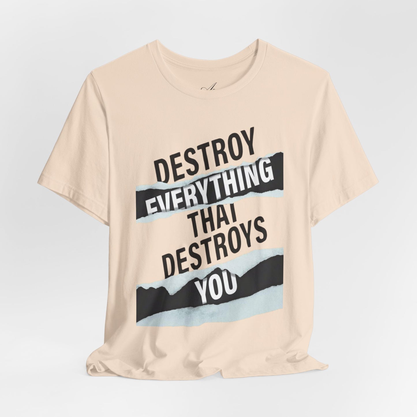Destroy Everything That Destroys You T-Shirt  Bold Typographic Graphic Tee