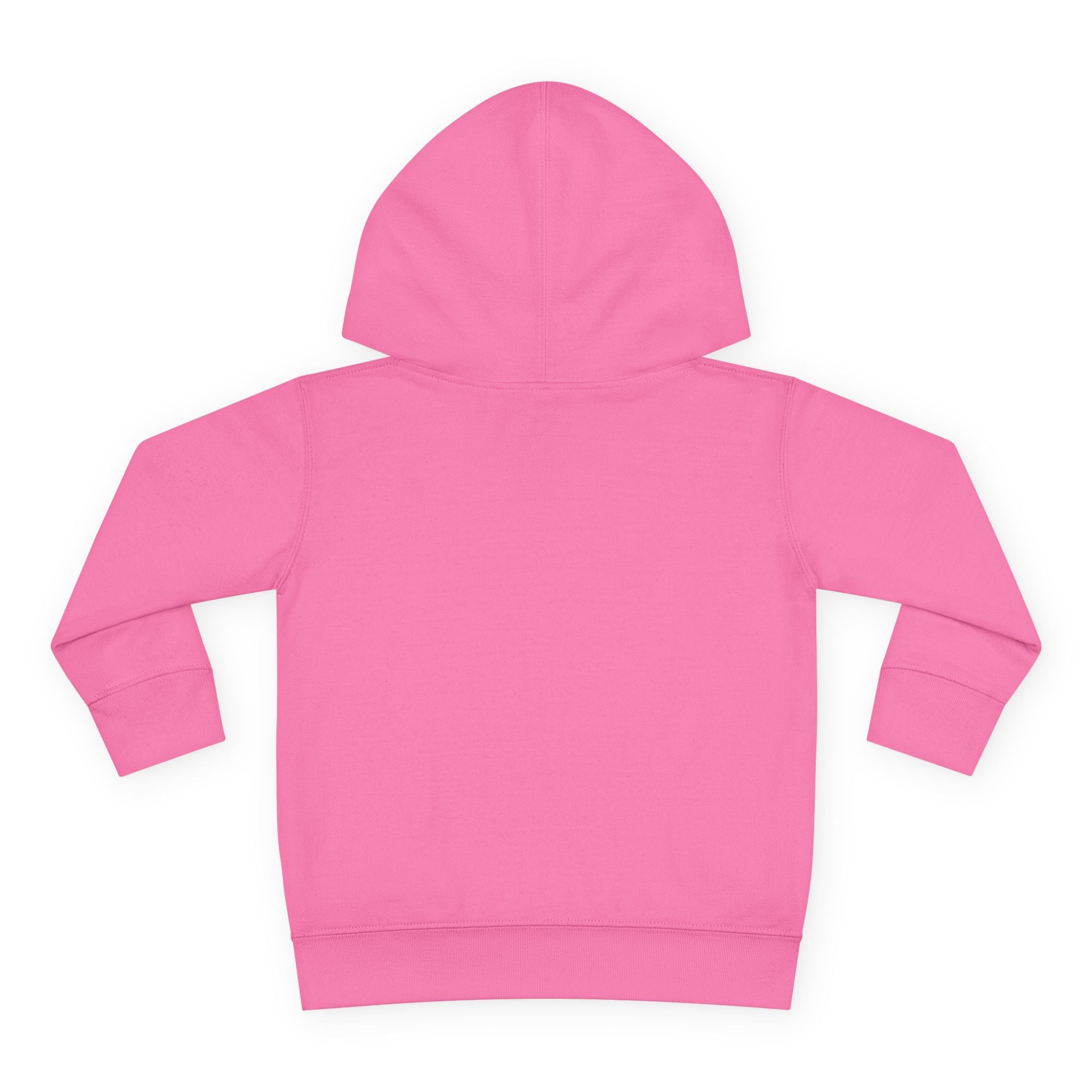 Toddler Hoodie  Cozy Plaid Santa Gnome Pullover