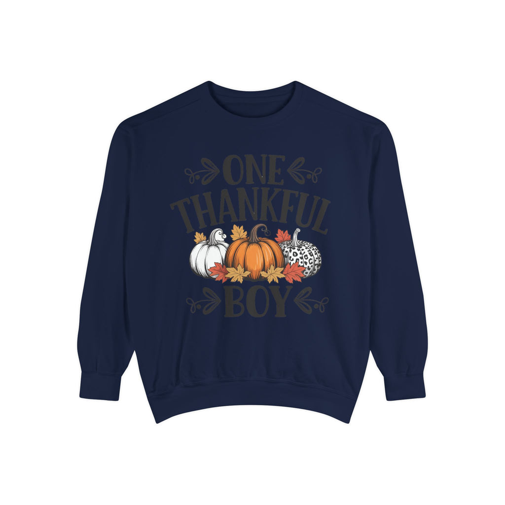 Thankful Boy Sweatshirt  Fall Pumpkin Thanksgiving Crewneck Fall T-Shirts and Sweatshirts Collection