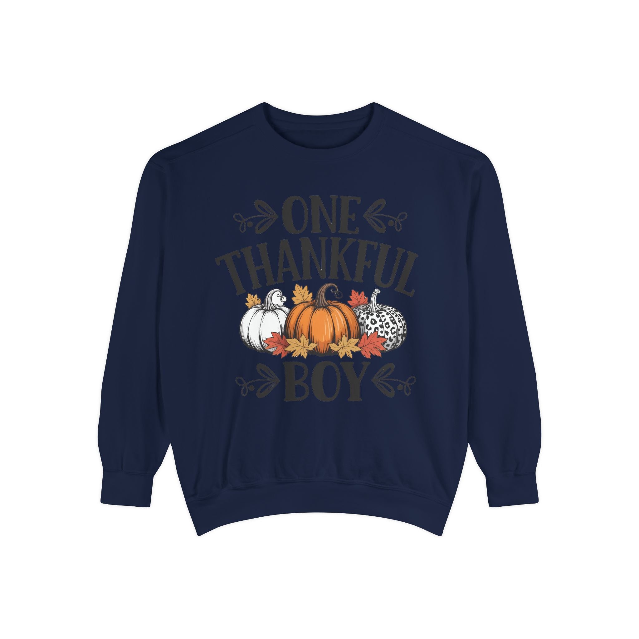 Thankful Boy Sweatshirt  Fall Pumpkin Thanksgiving Crewneck Fall T-Shirts and Sweatshirts Collection