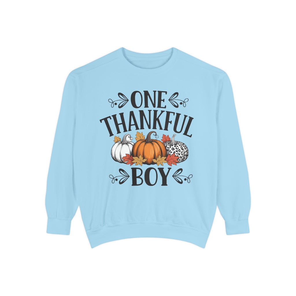 Thankful Boy Sweatshirt  Fall Pumpkin Thanksgiving Crewneck Fall T-Shirts and Sweatshirts Collection