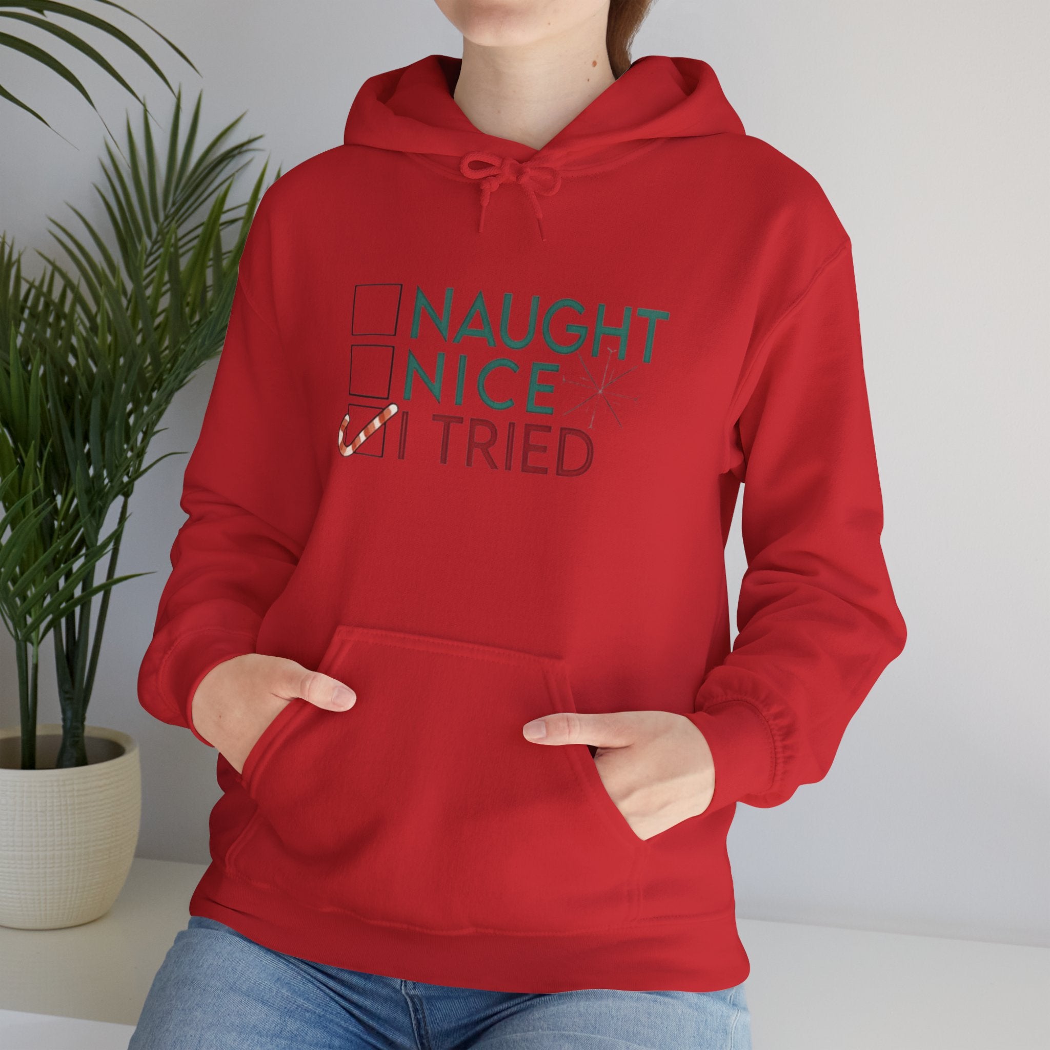 Holiday Hoodie — "Naughty, Nice, I Tried" Funny Christmas Sweatshirt