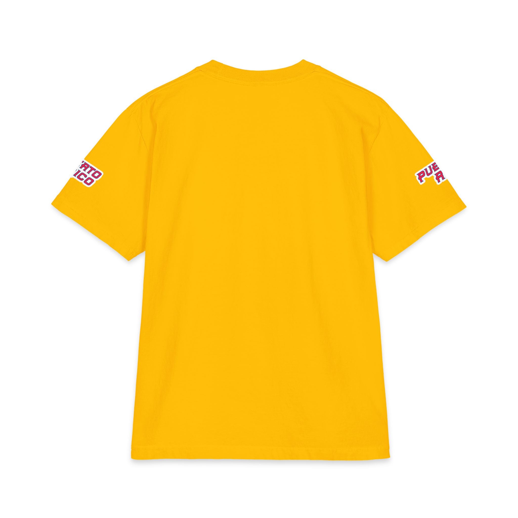 Puerto Rico Basketball Player Graphic T-Shirt