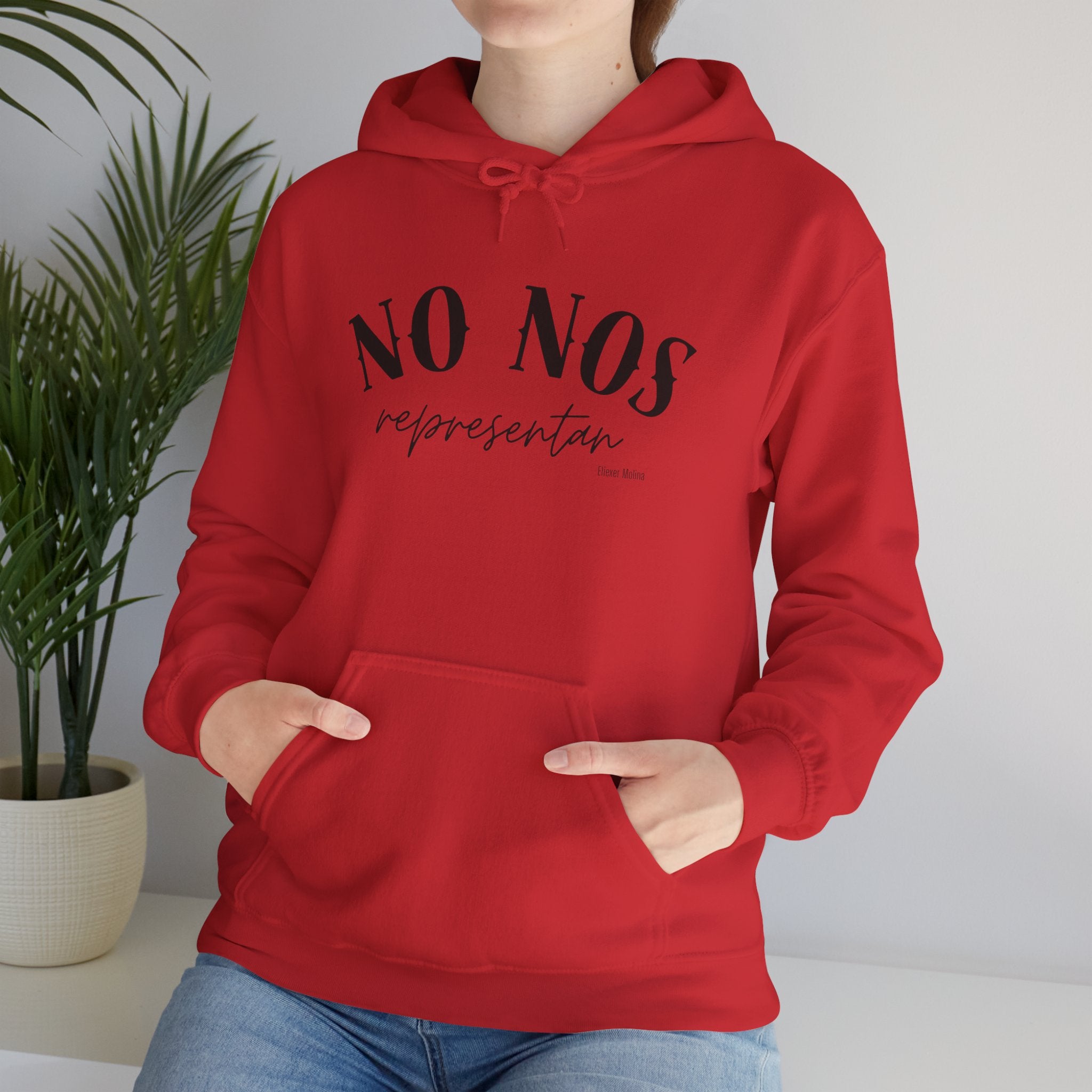 Puerto Rican Pride Hoodie  “No Nos representan” Front & Puñeta Flag Back