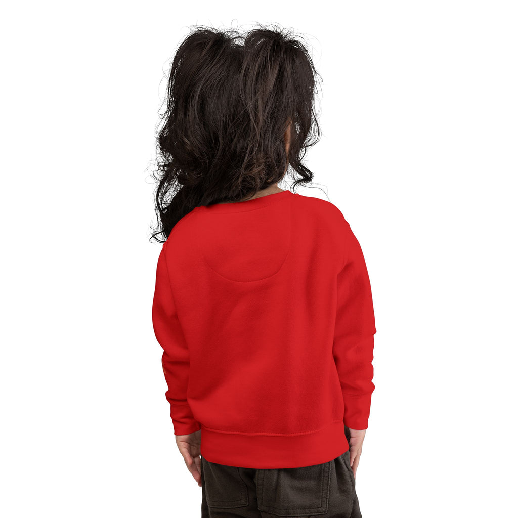 Toddler Sweatshirt  "Thankful" Pumpkin Fall Pullover