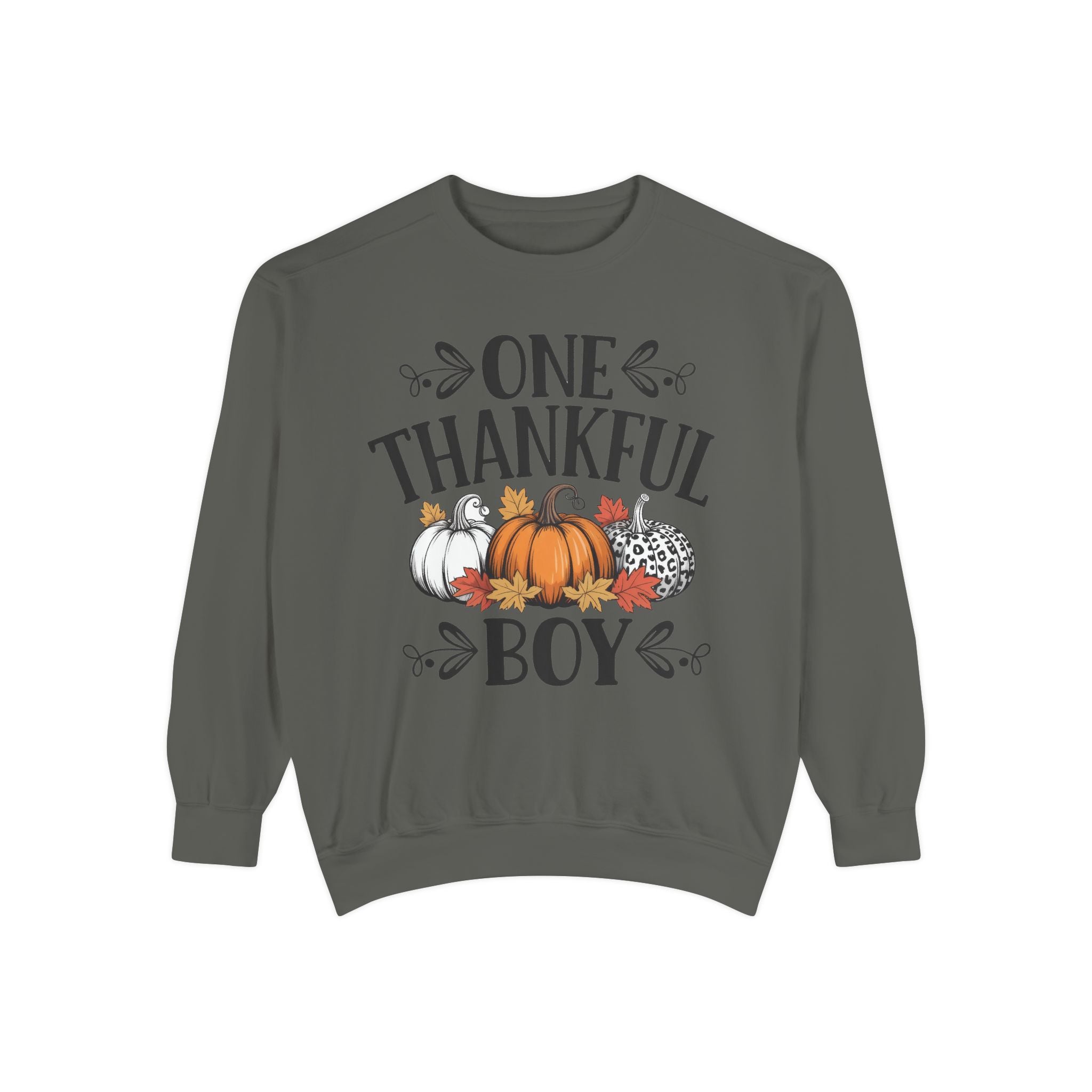 Thankful Boy Sweatshirt  Fall Pumpkin Thanksgiving Crewneck Fall T-Shirts and Sweatshirts Collection