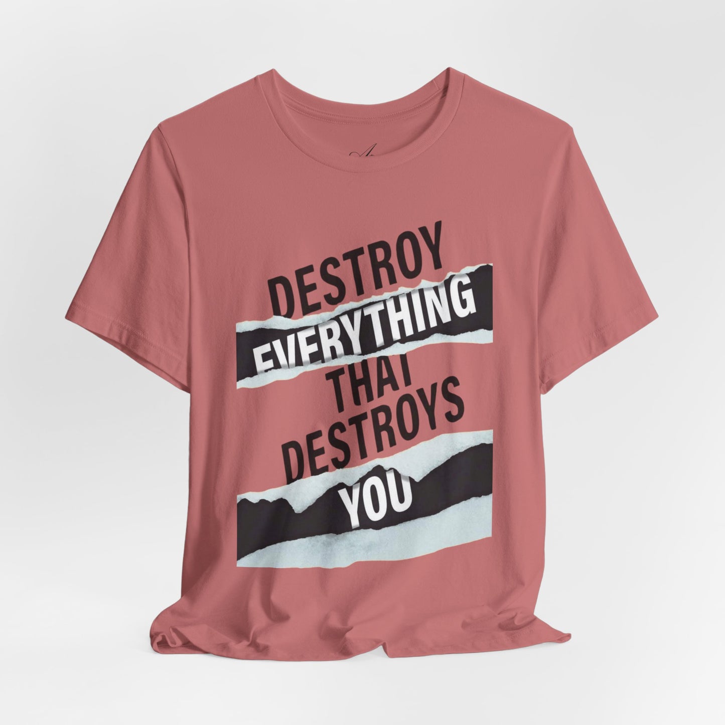 Destroy Everything That Destroys You T-Shirt  Bold Typographic Graphic Tee