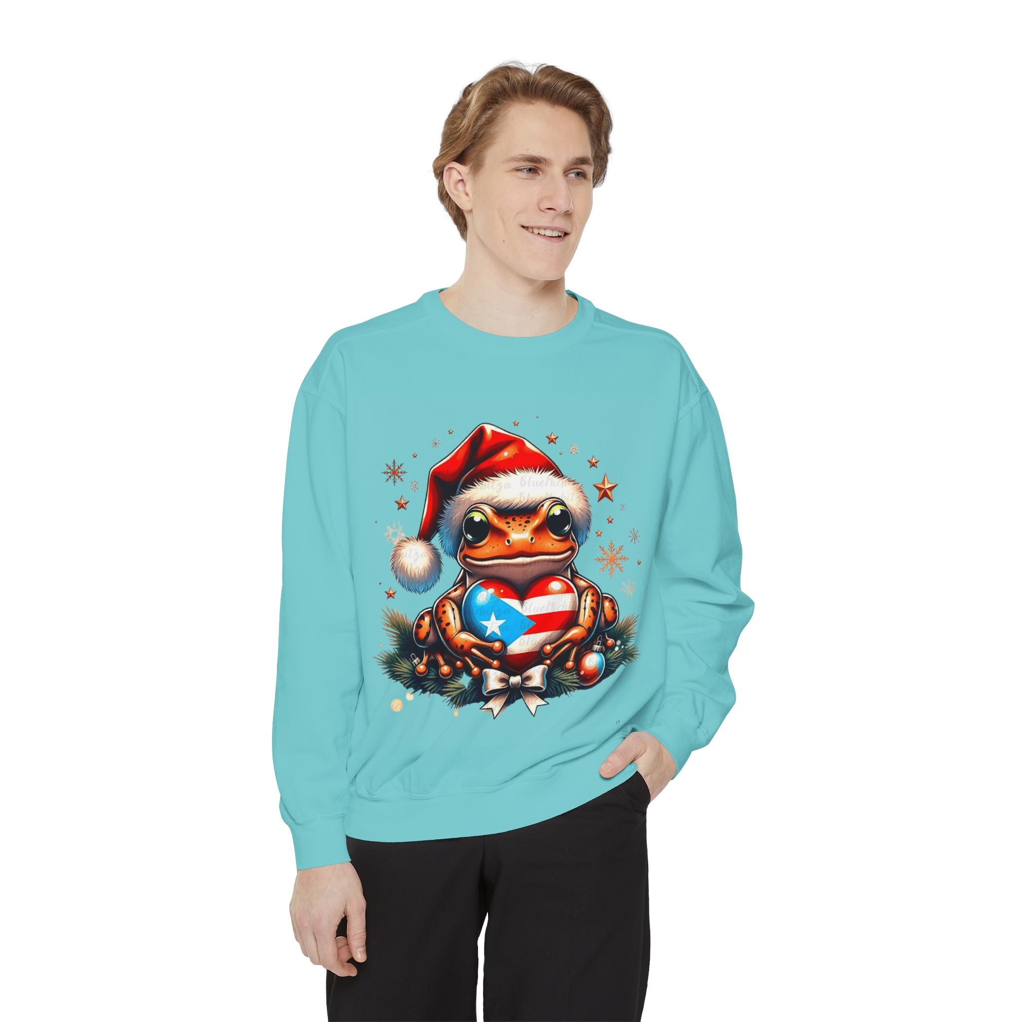 Christmas Coqui Sweatshirt — Cute Santa Frog Holding Ornament Holiday Sweater