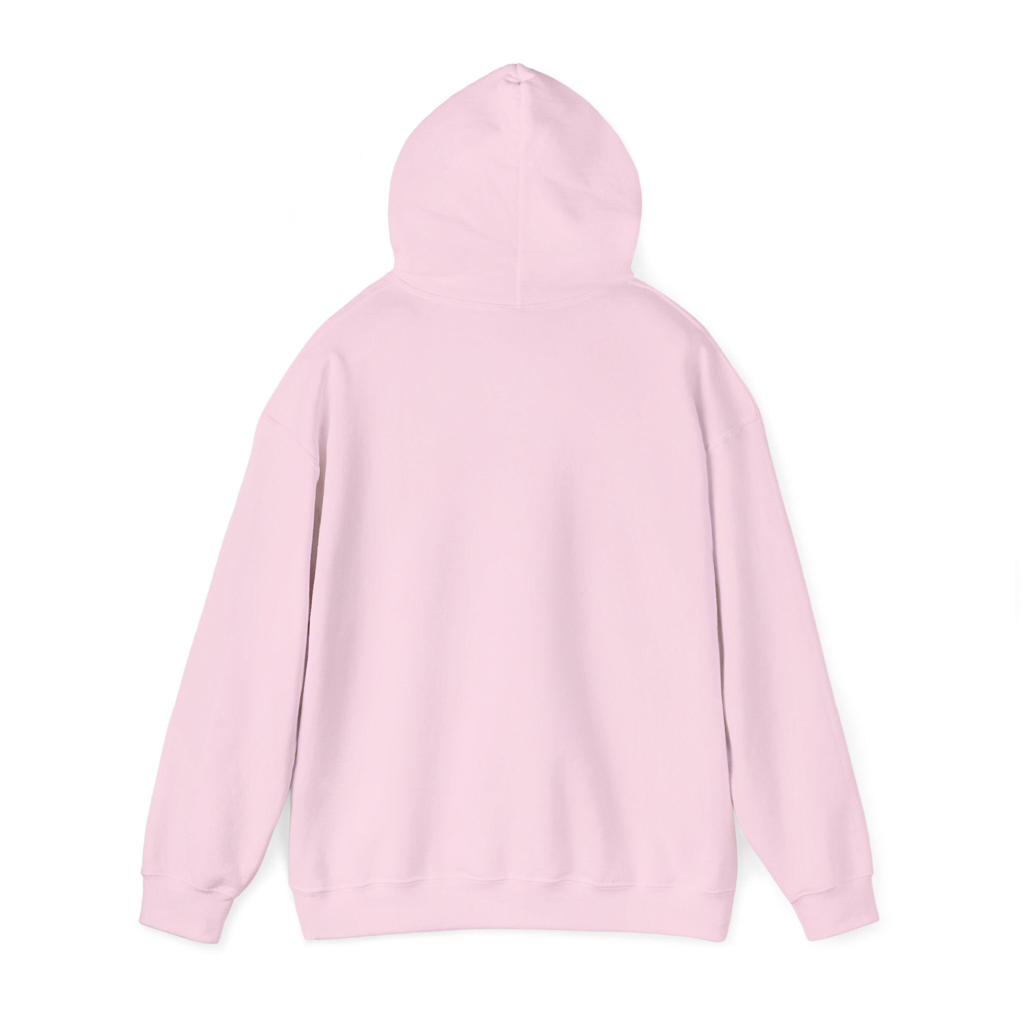 Holiday Hoodie — "Naughty, Nice, I Tried" Funny Christmas Sweatshirt