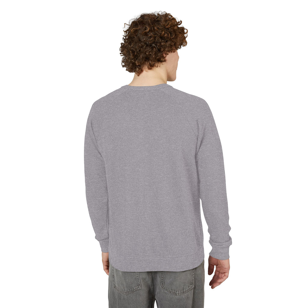Motherhood Crewneck Sweatshirt  'Blessed with the Chaos' Raglan Pullover for Moms