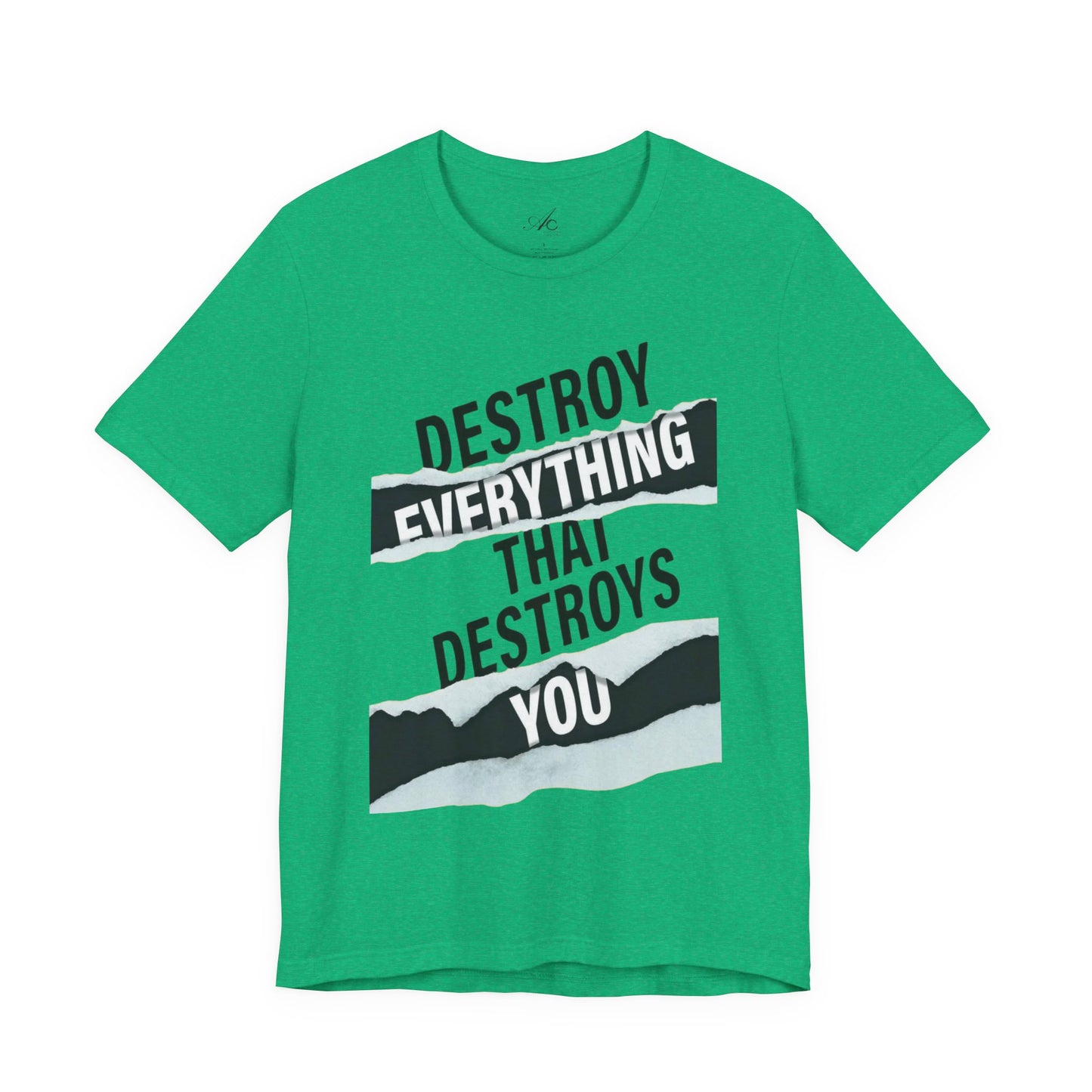 Destroy Everything That Destroys You T-Shirt  Bold Typographic Graphic Tee