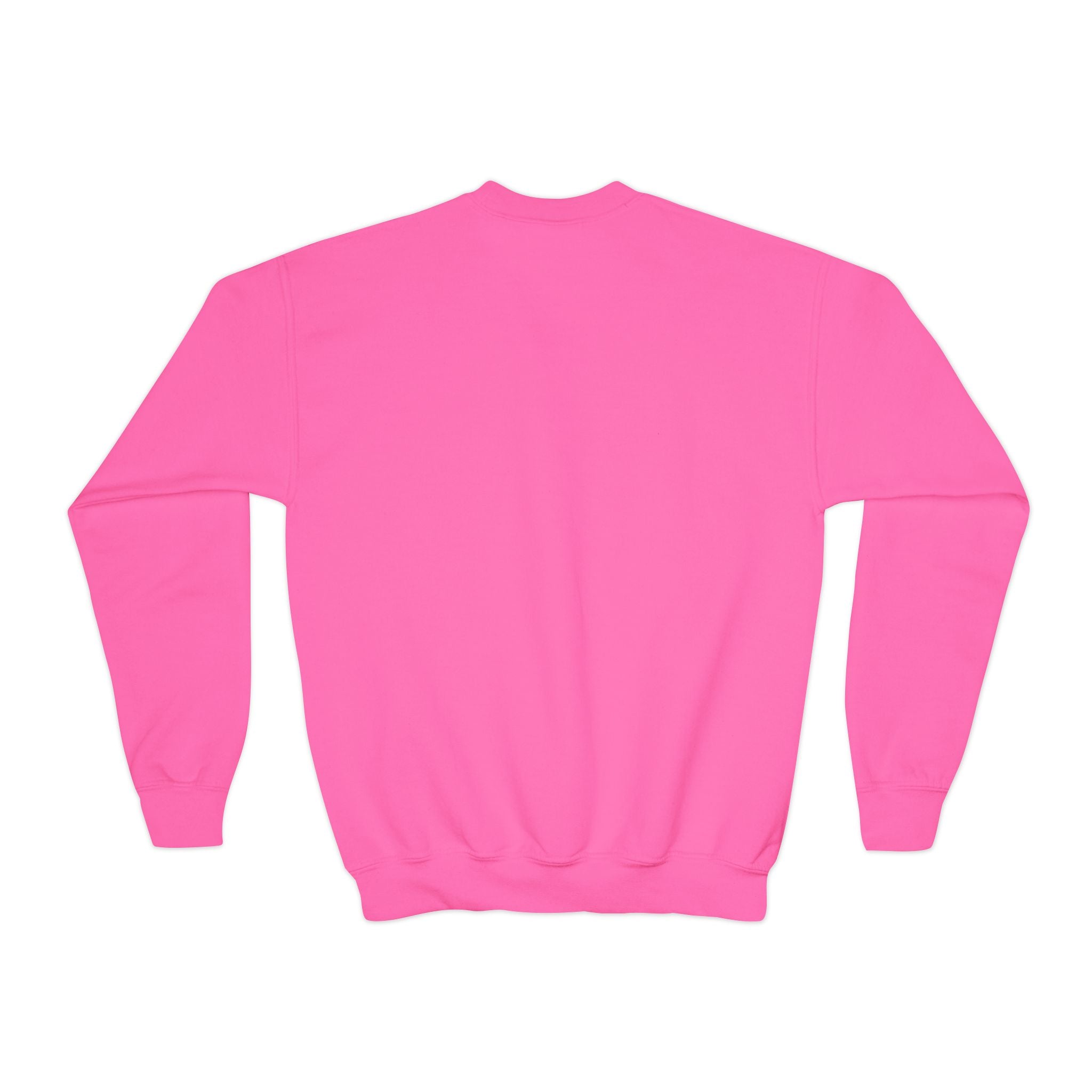 Youth Sweatshirt  'Believe' Cozy Sloth Holiday Crewneck