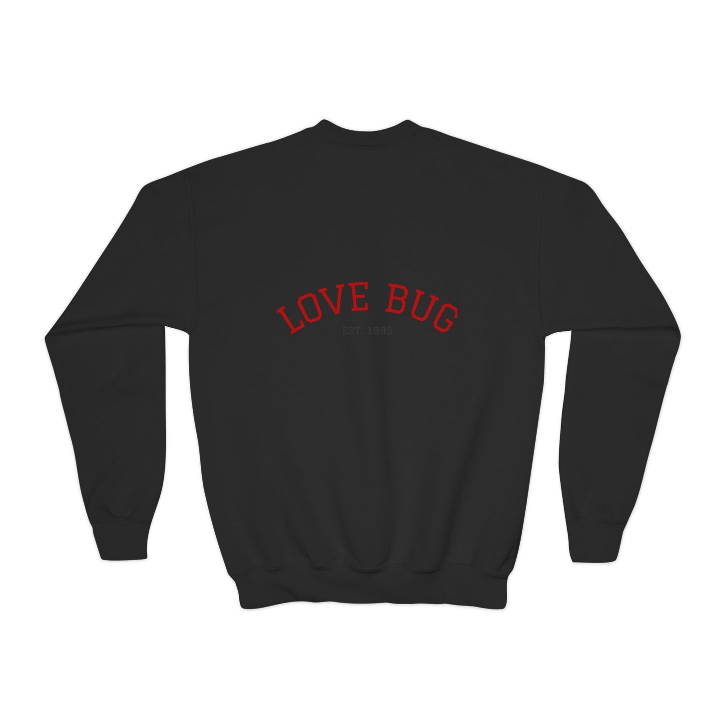 Youth Sweatshirt  Cute Girl with Heart Shower "Love Bug" Crewneck
