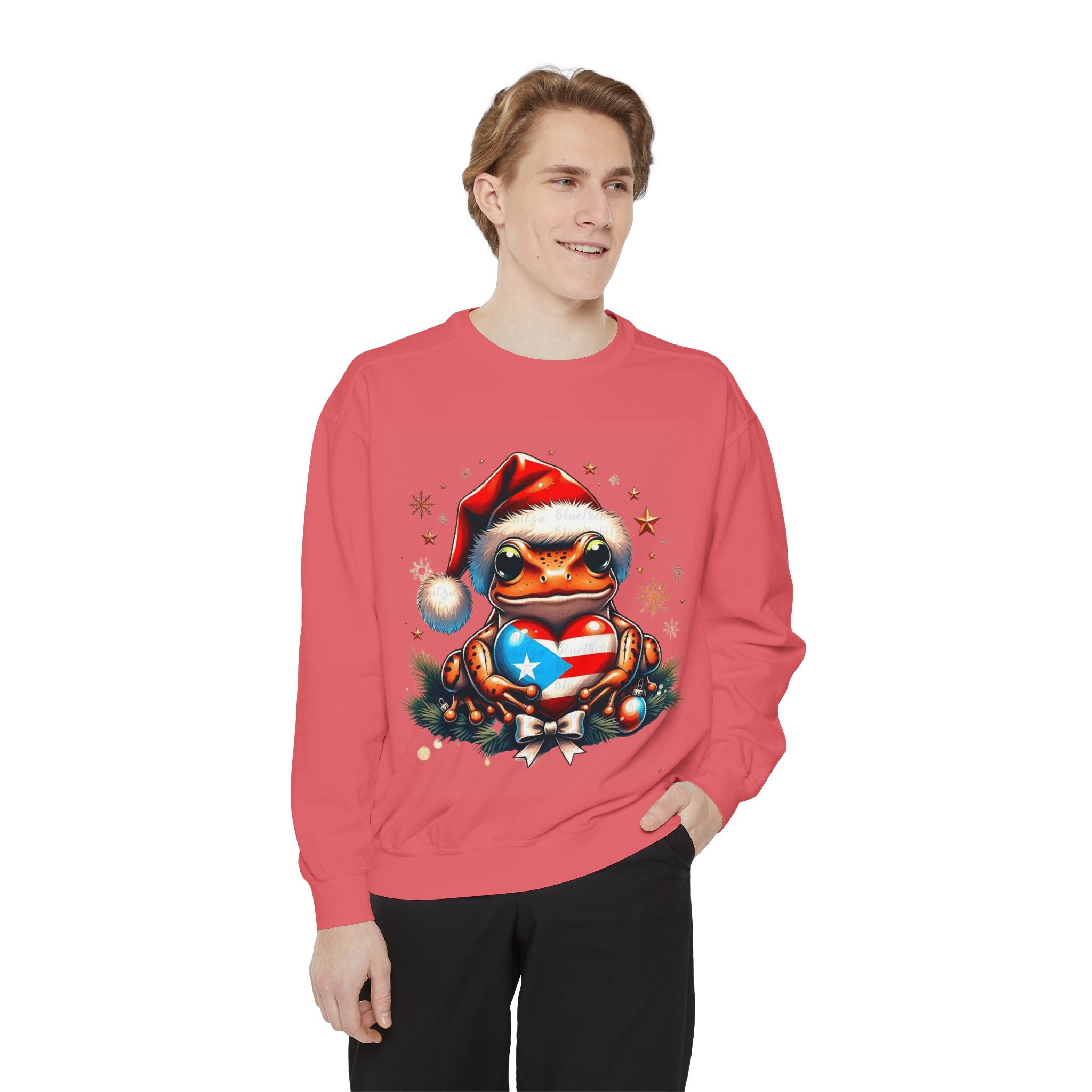 Christmas Coqui Sweatshirt — Cute Santa Frog Holding Ornament Holiday Sweater