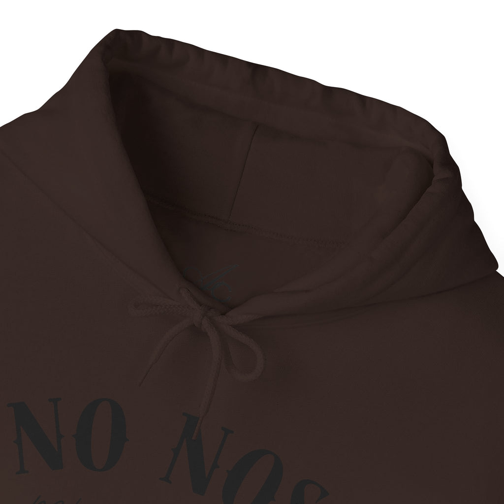 Puerto Rican Pride Hoodie  “No Nos representan” Front & Puñeta Flag Back
