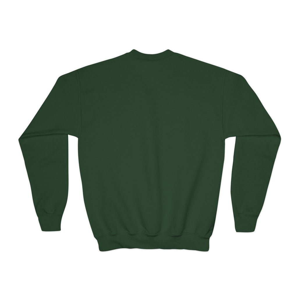 Youth Sweatshirt  'Believe' Cozy Sloth Holiday Crewneck