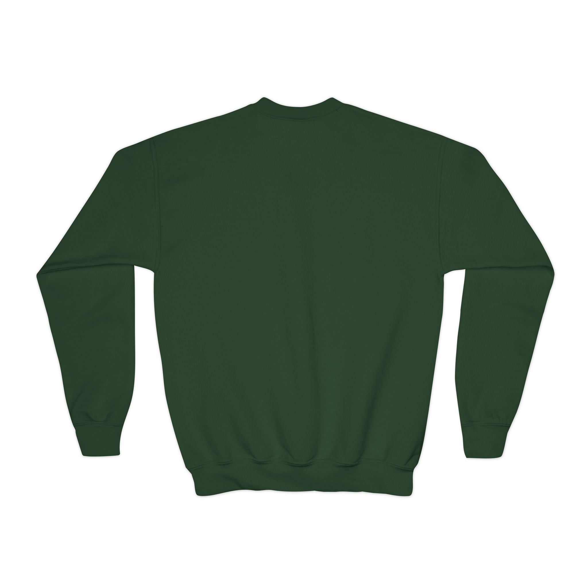 Youth Sweatshirt  'Believe' Cozy Sloth Holiday Crewneck