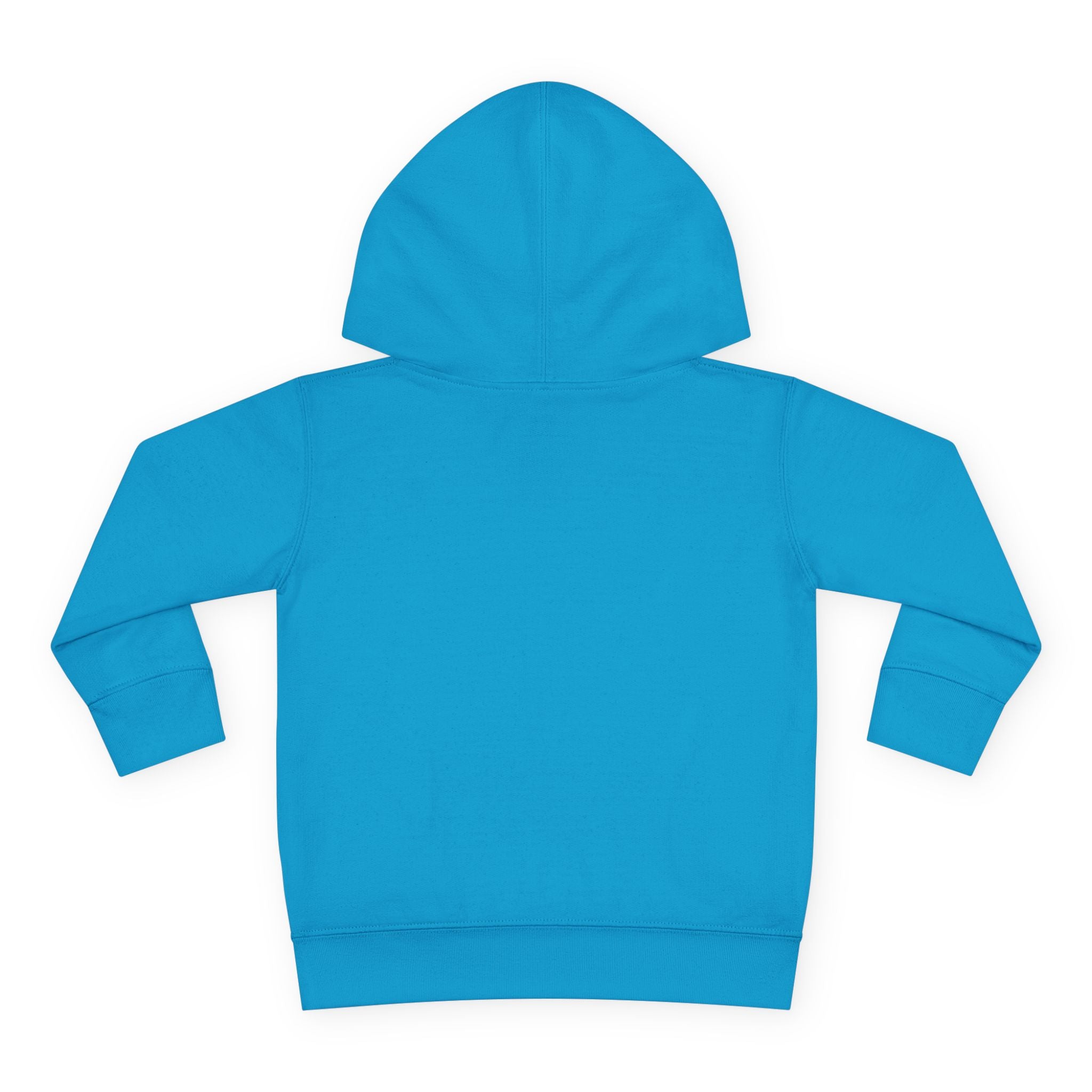Toddler Hoodie "Ho Ho Ho" Festive Raccoon Christmas Pullover
