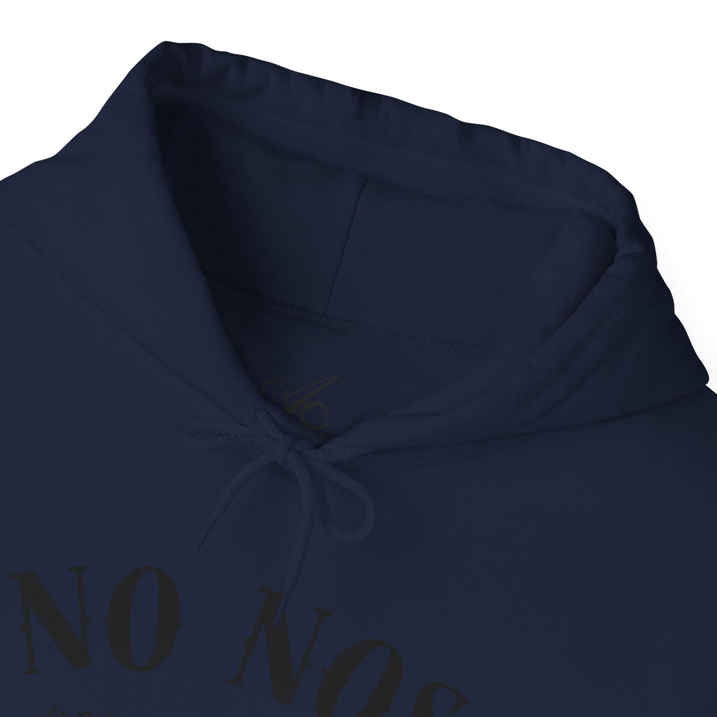 Puerto Rican Pride Hoodie  “No Nos representan” Front & Puñeta Flag Back