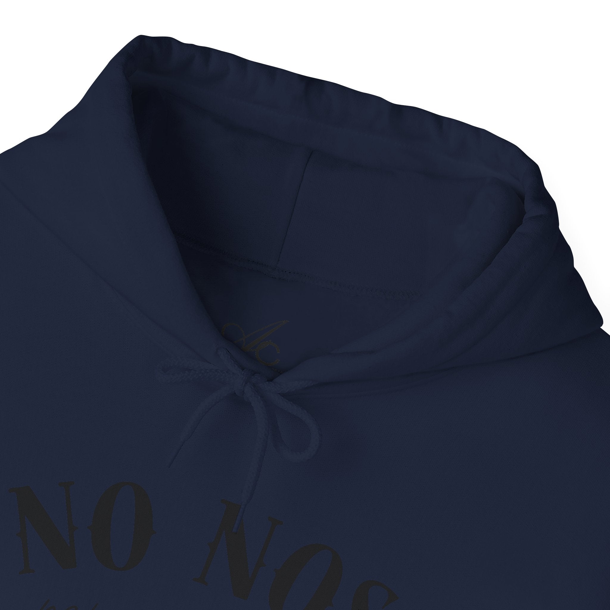 Puerto Rican Pride Hoodie  “No Nos representan” Front & Puñeta Flag Back