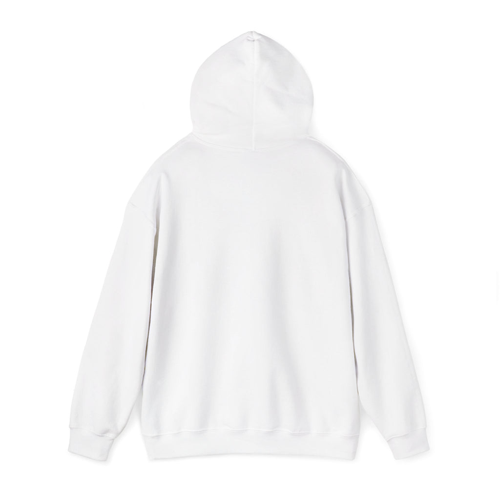 Holiday Hoodie — "Naughty, Nice, I Tried" Funny Christmas Sweatshirt