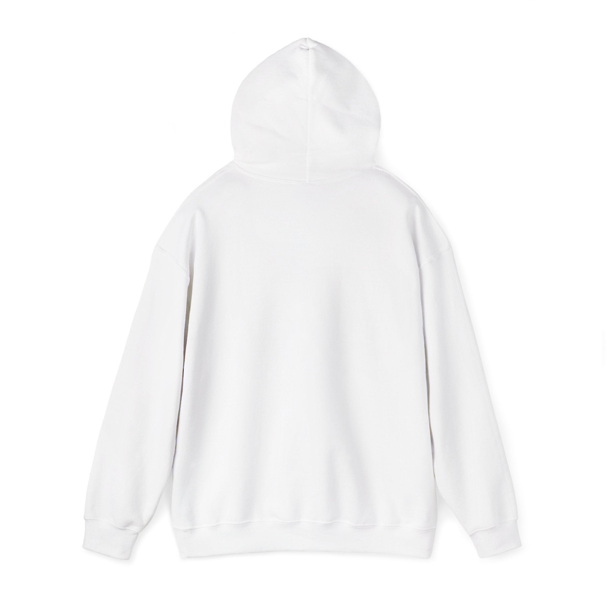 Holiday Hoodie — "Naughty, Nice, I Tried" Funny Christmas Sweatshirt