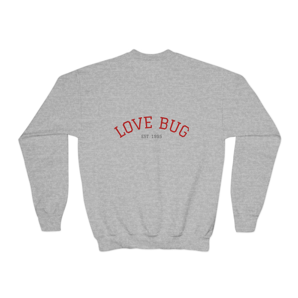 Youth Sweatshirt  Cute Girl with Heart Shower "Love Bug" Crewneck
