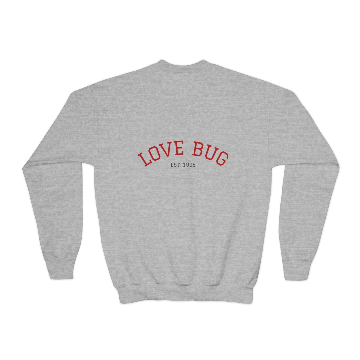 Youth Sweatshirt  Cute Girl with Heart Shower "Love Bug" Crewneck
