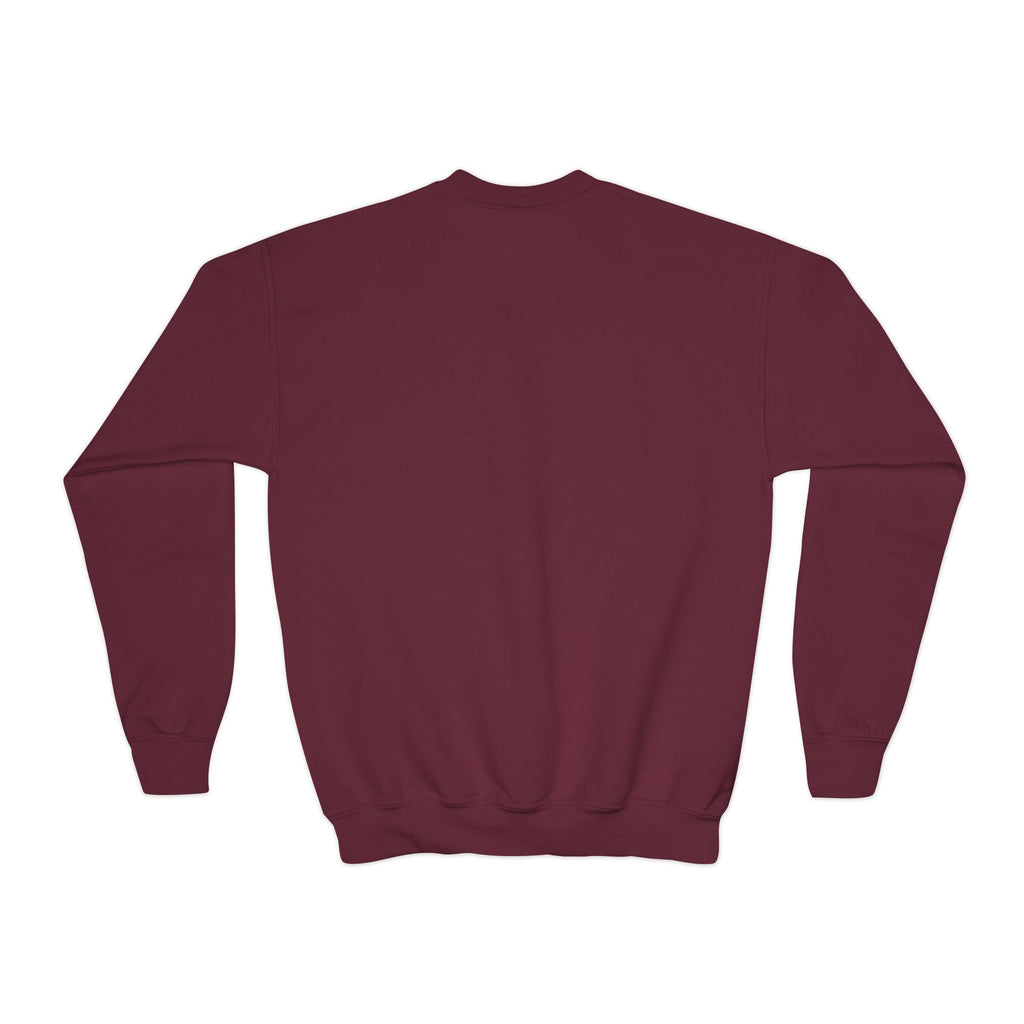Youth Sweatshirt  'Believe' Cozy Sloth Holiday Crewneck