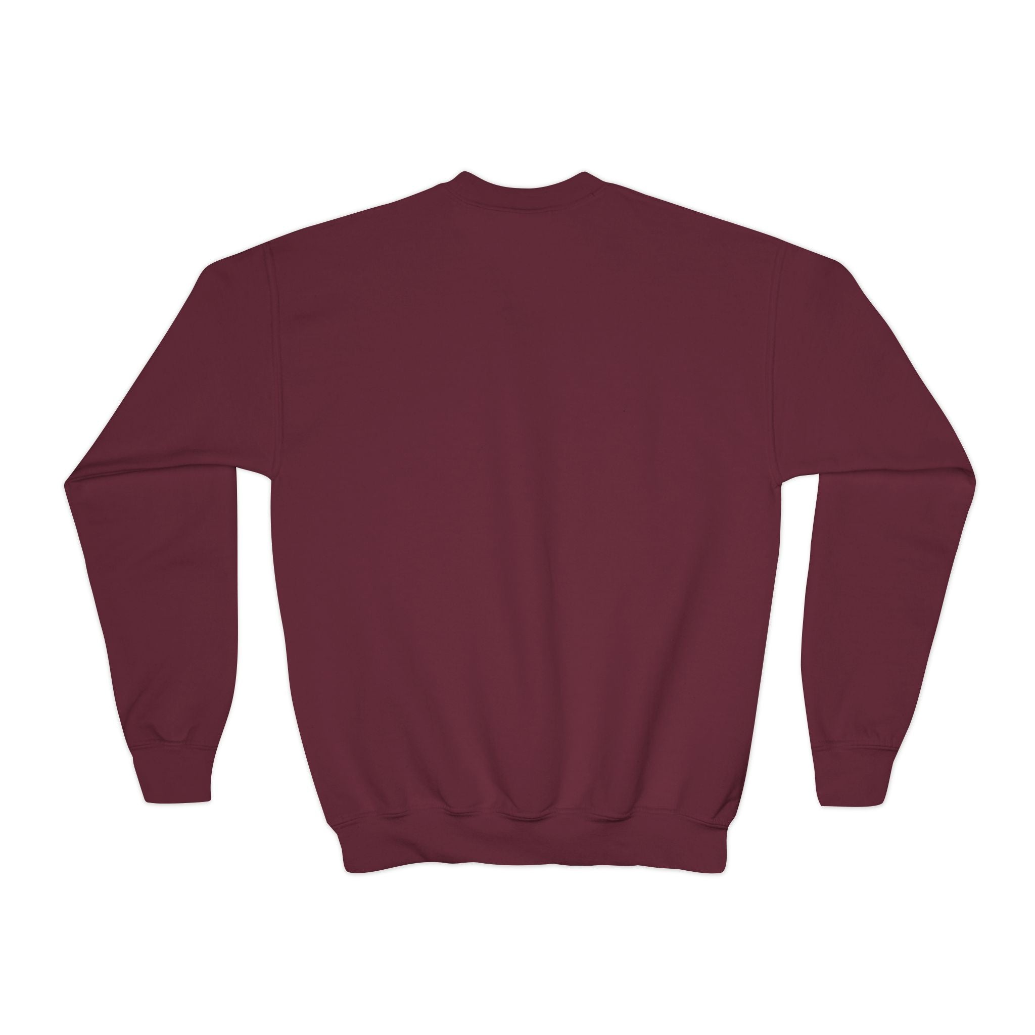 Youth Sweatshirt  'Believe' Cozy Sloth Holiday Crewneck