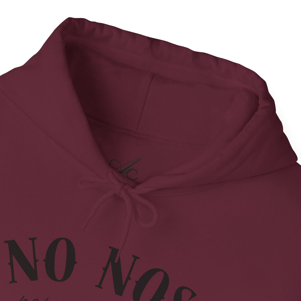 Puerto Rican Pride Hoodie  “No Nos representan” Front & Puñeta Flag Back