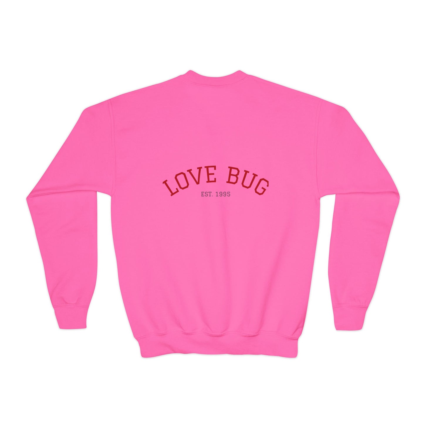 Youth Sweatshirt  Cute Girl with Heart Shower "Love Bug" Crewneck