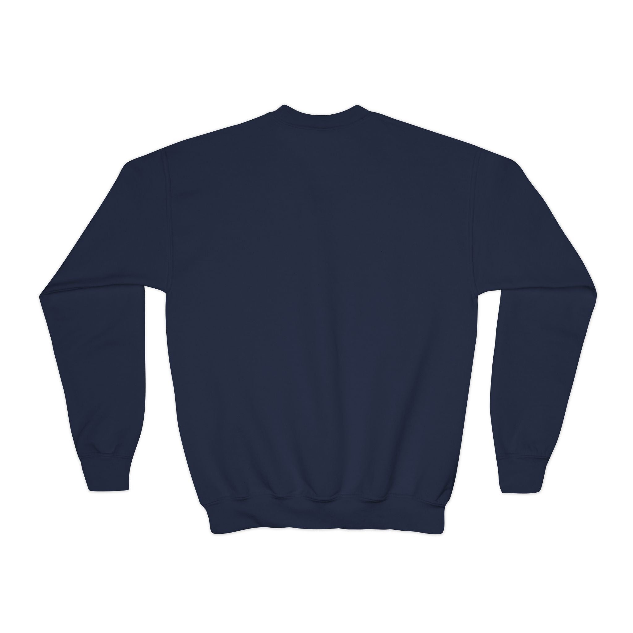 Youth Sweatshirt  'Believe' Cozy Sloth Holiday Crewneck