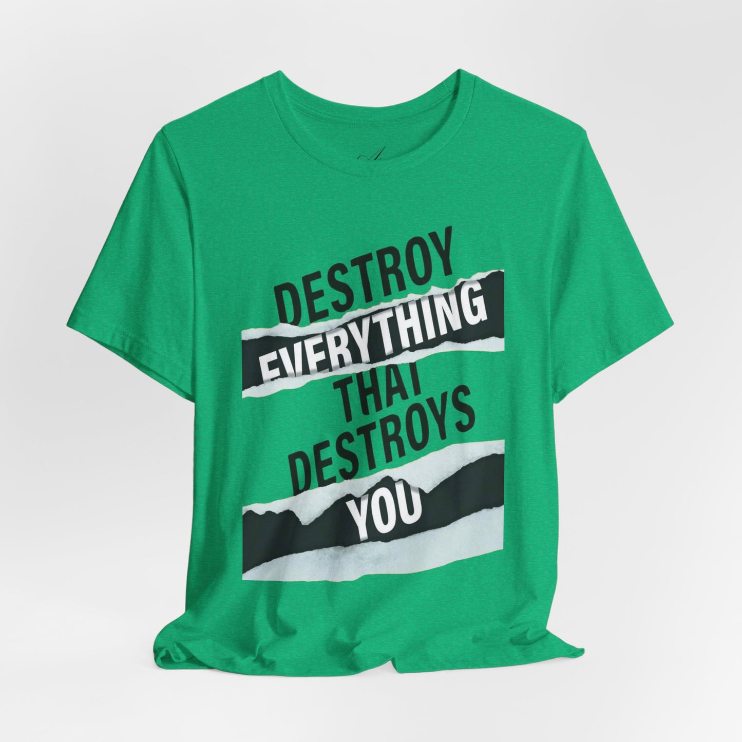 Destroy Everything That Destroys You T-Shirt  Bold Typographic Graphic Tee