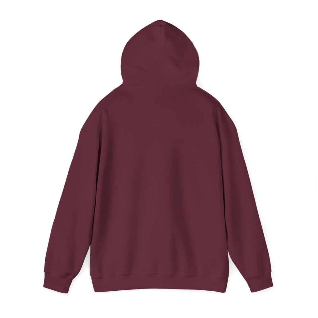 Holiday Hoodie — "Naughty, Nice, I Tried" Funny Christmas Sweatshirt